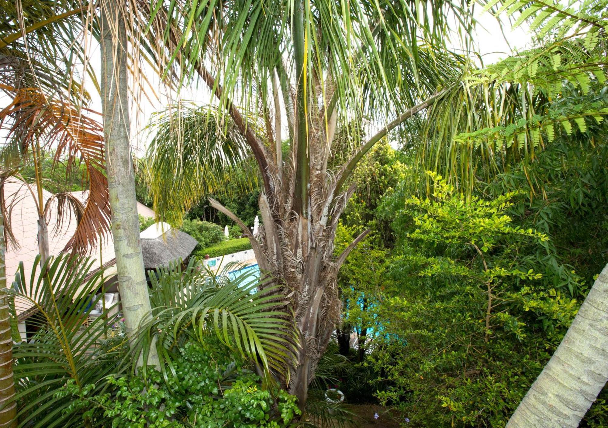Hazelwood House Hotel Stellenbosch Luaran gambar